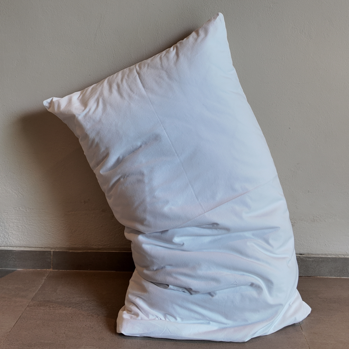 What's Really Inside Your Hotel Pillow