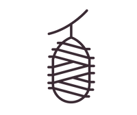 22-momme mulberry silk